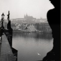 Mouette à Prague