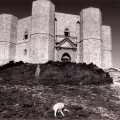 Castel del Monte, Pouilles, 1995 