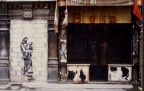 Album 31 : Le XIV ème arrondissement 
en démolition dans les années 80
