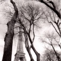 Tour Eiffel et arbres 