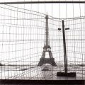 Tour Eiffel Moineau