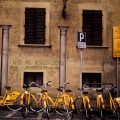 Vélos Florence 