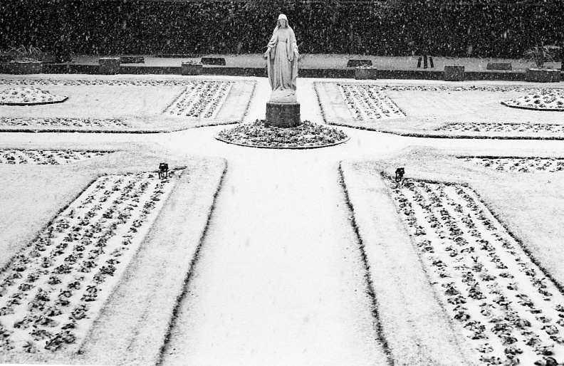 Marie en neige