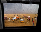 Pluie dans le désert du Thar
