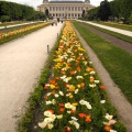 Paris, Jardin des Plantes, samedi 18 mai