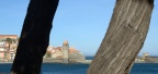 a Collioure nov 14 3 786 mmm