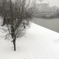 Parapluie arc en ciel avec neige
sur les quais et Notre Dame

