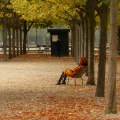 Jardin du Luxembourg, soir d'automne