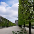 Les Tuileries, mercredi 5 avril