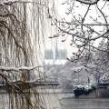 a Paris fev 18 neige NK 281 quinte mmm.jpg