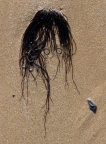 John Lennon on the beach