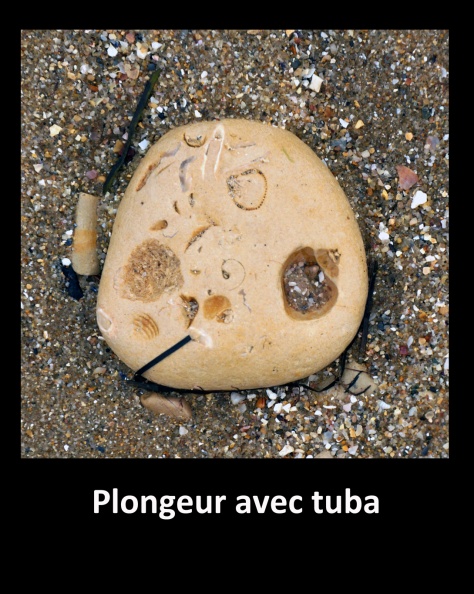 Plongeur