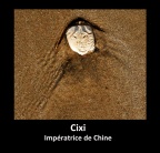 L'Impératrice Cixi