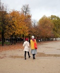 Jardin des Tuileries, mercredi 7 novembre