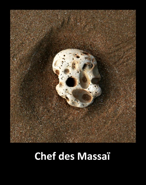 Chef Massaï.jpg