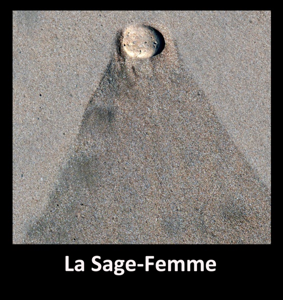 La Sage-Femme.jpg