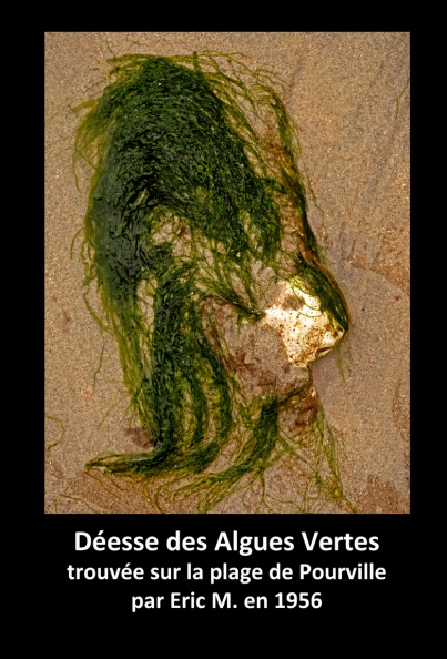 Déesse des Algues Vertes de Hotto.jpg
