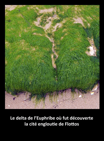 Le delta de l'Euphribe.jpg