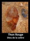 Thon Rouge
