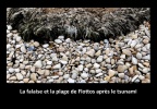 La falaise et la plage de Flottos après le tsunami