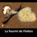 La fourmi de Flottos