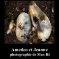 Amedeo et Jeanne