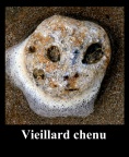 Vieillard chenu