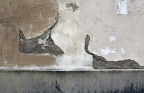 Le cerf et la limace, rue Cuvier, Paris sept 19