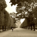 Les Tuileries, Paris le samedi 7 septembre