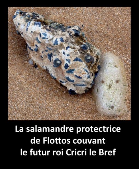 La salamandre de Flottos.jpg