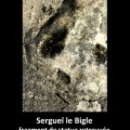 Fragment de statue de Sergueï le Bigle