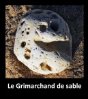 Le Grimarchand de sable