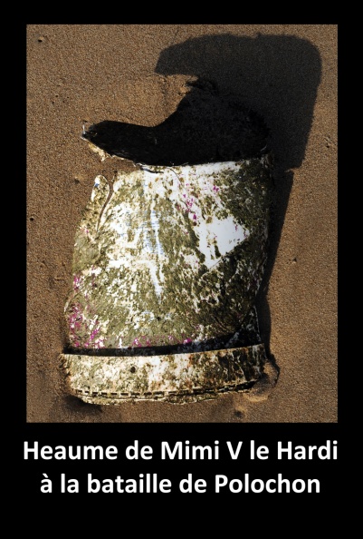 Le Heaume de Mimi V le Hardi.jpg