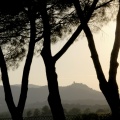 A Toscane 2011 2 191 MMM.jpg