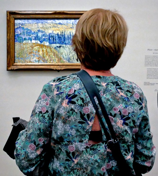 a Orsay Van Gogh II 118 quinte mmm.jpg