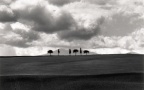 Cyprès Amiata Nuages 