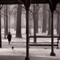 Petite fille pigeon Tuileries 