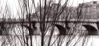 Pont Neuf branches 