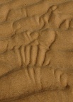 sur le sable