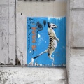 Paris, rue Calvin