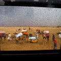 Pluie dans le désert du Thar