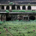 Palais abandonné de Bundi