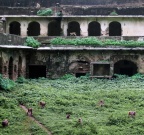 Palais abandonné de Bundi