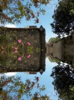 La Flotte, vendredi 8 mai