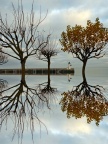 La Flotte, dimanche 7 décembre