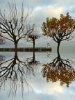 La Flotte, dimanche 7 décembre