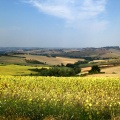 Paysage des Marches