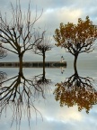 La Flotte, dimanche 7 décembre