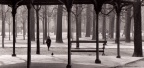 La petite fille au pigeon, Jardin des Tuileries 