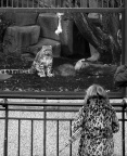 Zoo du Jardin des Plantes, dimanche 14 février